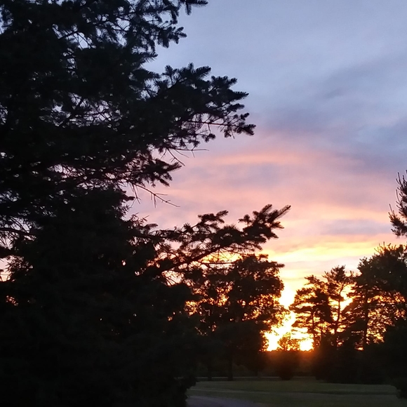 Meet your Posher, Rodney - Picture 1 of 1